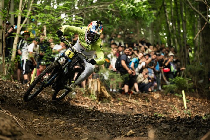 Loic Bruni